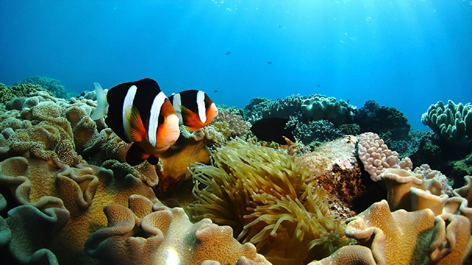 コテージ花 Motobu Εξωτερικό φωτογραφία